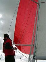 spinnaker