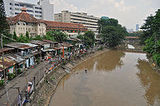ciliwung river