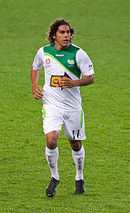 david williams