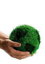 Green Revolution