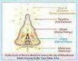 Pind science actuals certification.