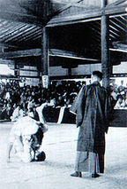 judo