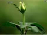 Beauty Of NATURE just feel it