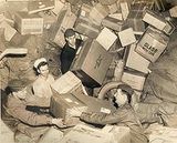 parcel