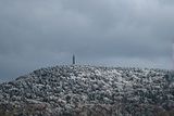 greylock