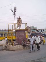 jammalamadugu