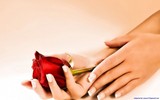 Only for Friends