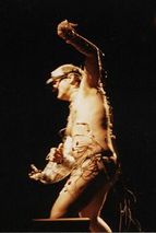 stelarc