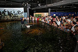 melbourne aquarium