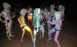 udupi tigers