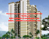 Buy Today Canary Green Projects