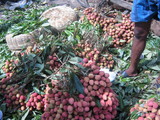 baruipur