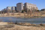 washington university school of medicine